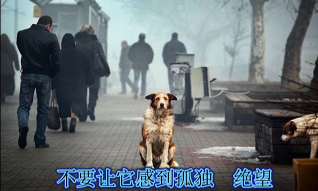 津南津南爱影圈微博微信转发案例